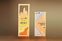 易币付(中国)国际一举斩获“2024年度中国区最佳雇主”等多项大奖